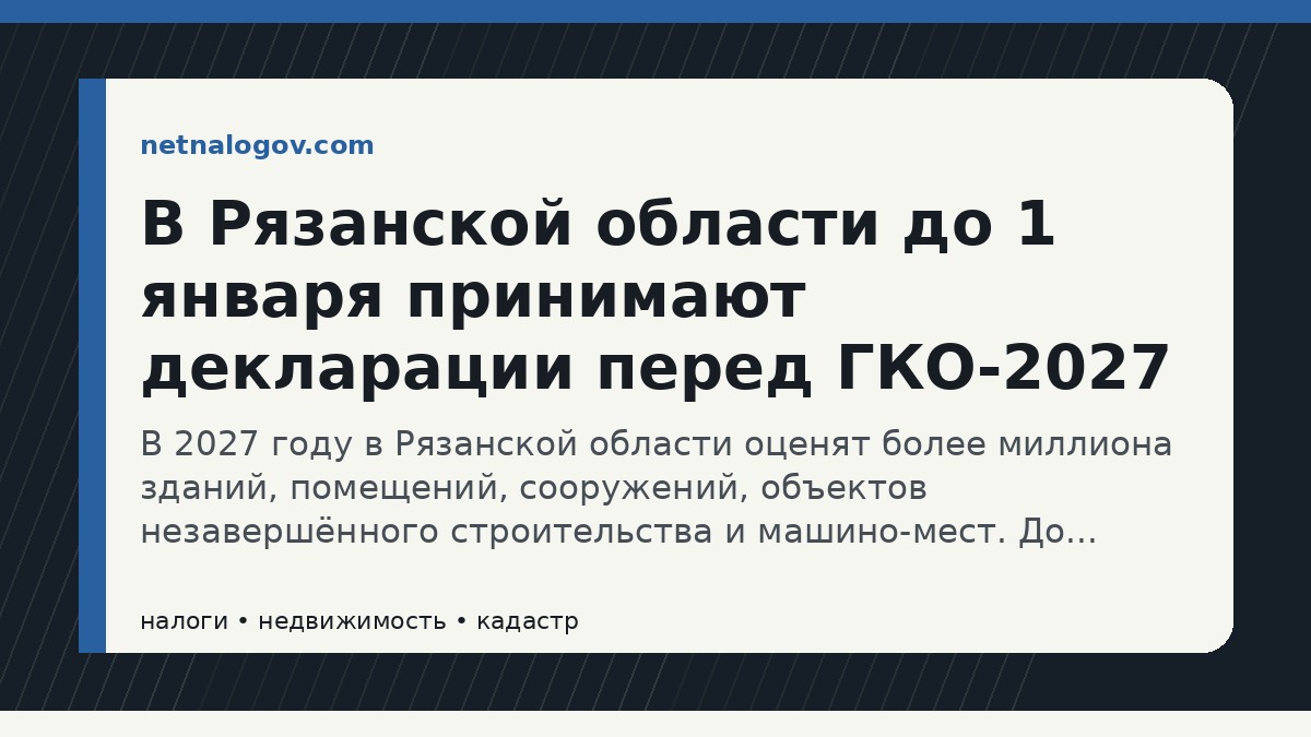 Иллюстрация к материалу: В Рязанской области до 1 января принимают декларации перед ГКО-2027