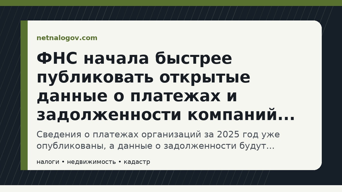 Иллюстрация к материалу: ФНС начала быстрее публиковать открытые данные о платежах и задолженности компаний